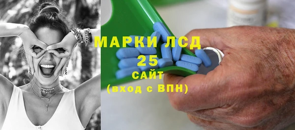 прущие грибы Абаза