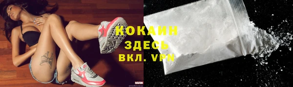 тгк Алексин