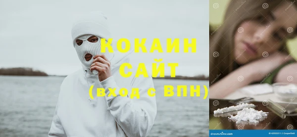 тгк Алексин