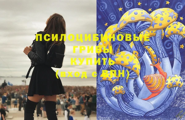 тгк Алексин