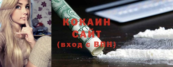 тгк Алексин