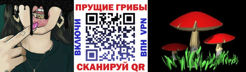 Псилоцибиновые грибы ЛСД  Курлово 